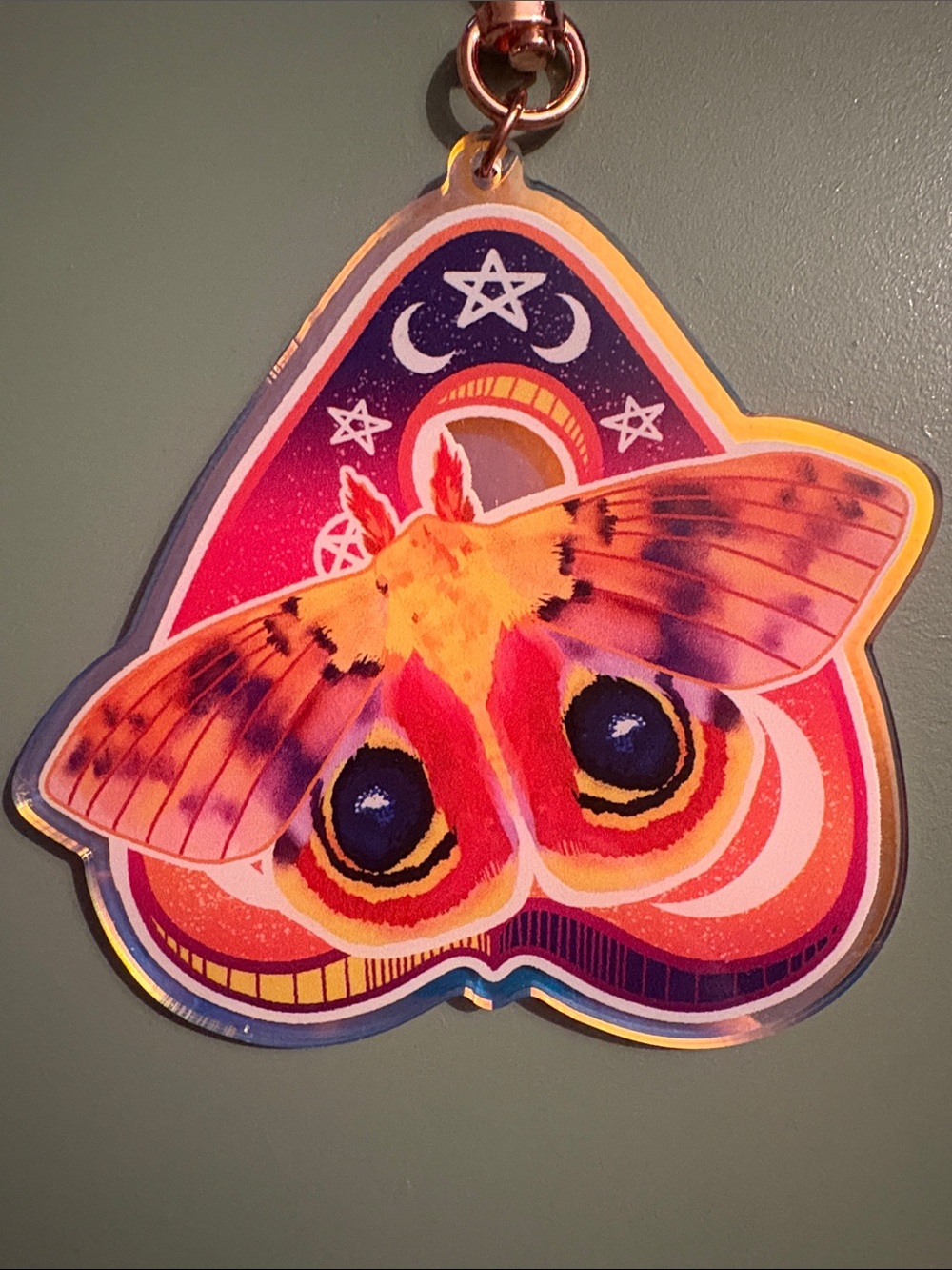 Large Acrylic Moth Keychains - Picture 3 of 4